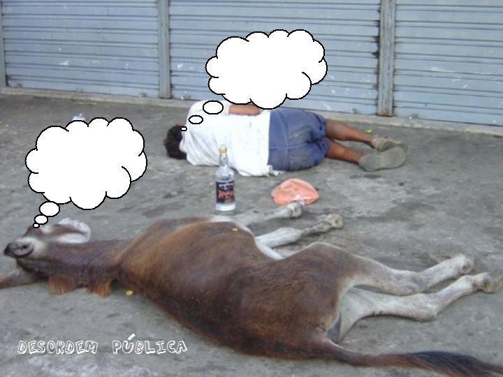 BURRINHO BURRINHO