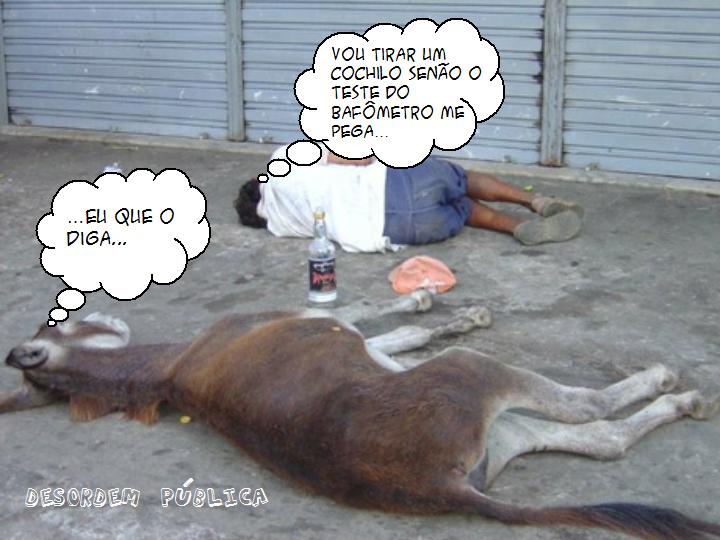 BURRINHO2 BURRINHO2