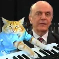 7serra-keyboard-cat